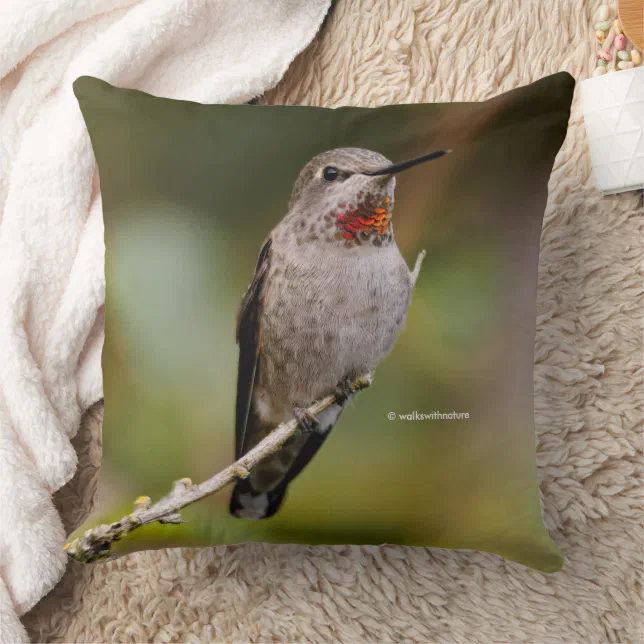 Stunning Anna's Hummingbird on Branch Throw Pillow