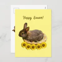 Cute baby rabbit - easter bunny  postcard