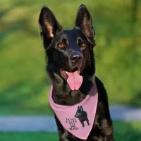 Too Cute to Be Bad Black GSD Puppy Dog Pink Pet Bandana Collar