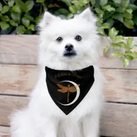 I Believe in Magic!  Pet Bandana Collar