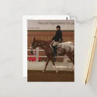 Entry Number 616 Horse Show Postcard
