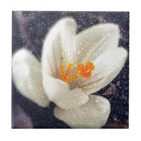 Rainy Day Crocus Flower Tile