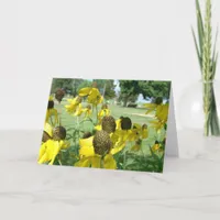 Yellow Mexican Hat Flowers Card