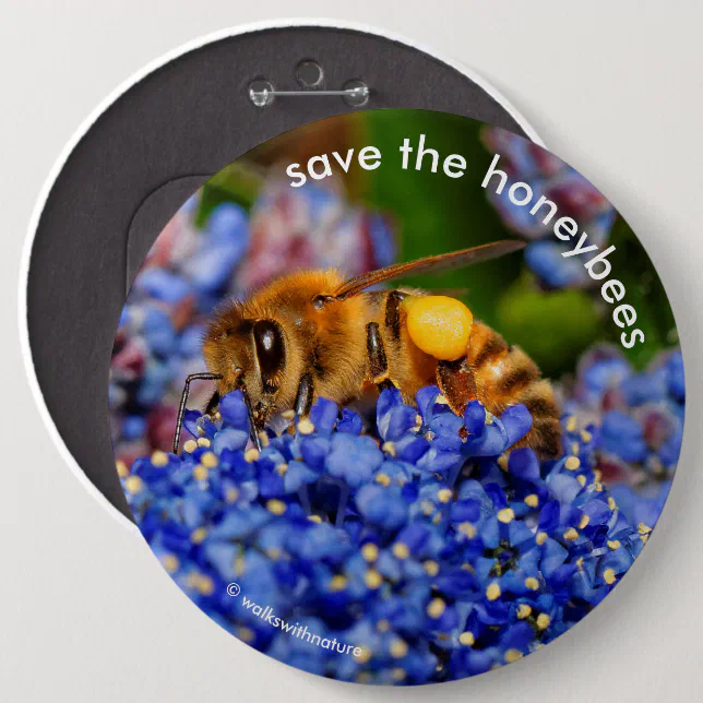 Save the Honeybees Pollinating California Lilac Button