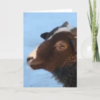 Tiny Card