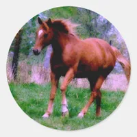 Spring Dreams, Sorrel Trotting Classic Round Sticker