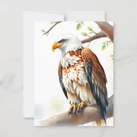 Just Saying Hi  | Eagle Sitting on a Branch Postcard
