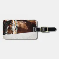 Behind the Fence Amish Horse Luggage Tag