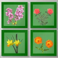 Print Set - Cut Flowers Acrylic Photo Tile