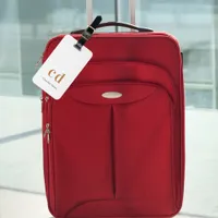 White gold monogram name initials  modern luggage tag
