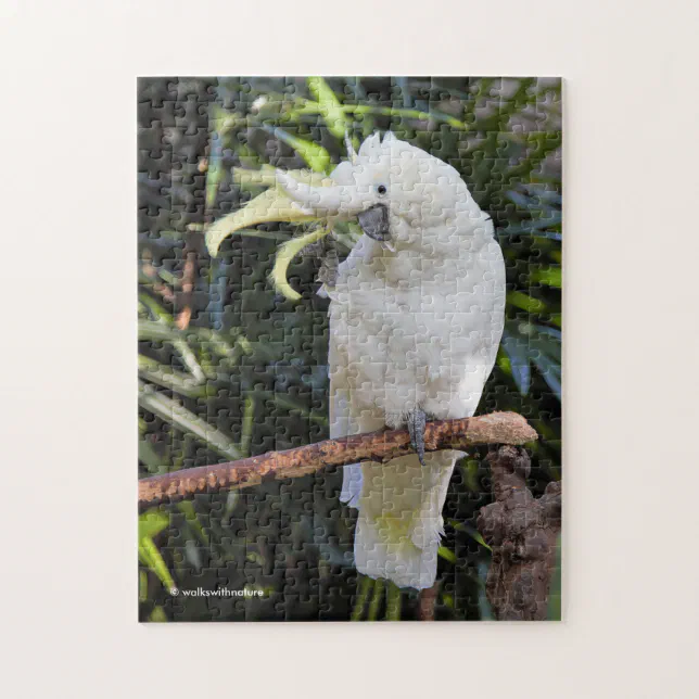 Sulfur-Crested Cockatoo Waves at the Photographer Jigsaw Puzzle