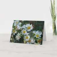 Daisies Card
