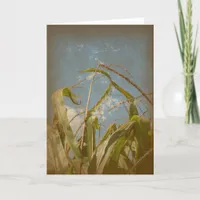 Corn Rural Grunge All Occasions Card