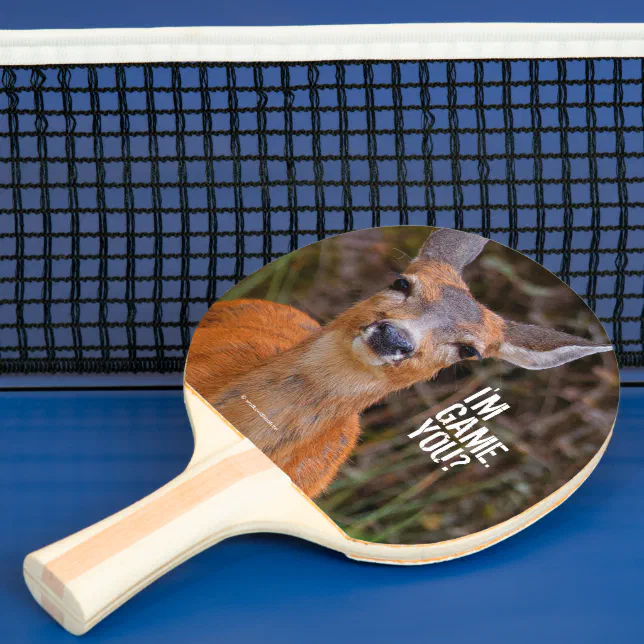 Funny Young Blacktail Deer Smiles at Photographer Ping Pong Paddle