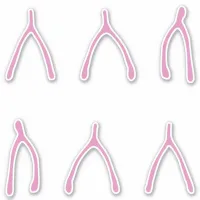 Wishing Bones | Cute Pink Wishbone Sticker