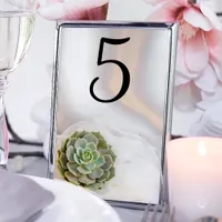 Green Succulent on White Wedding Table Numbers