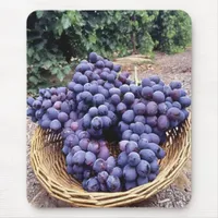 Royal Purple Grapes Mouse Pad