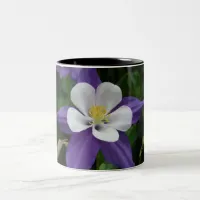 Columbine Purple and White Flower Two-Tone Coffee Mug