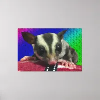 Young Sugar Glider Canvas