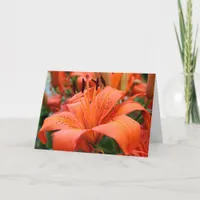 [Colorful Flowers] Tiger Lily - Any Occasion Card