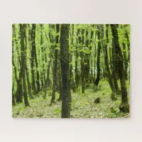 Green Forest Jigsaw Puzzle