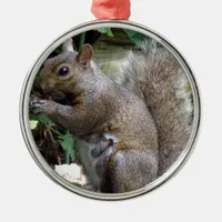 Squirrel Metal Ornament