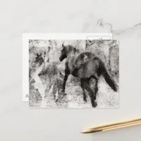 Gorgeous Paint Horse Mare and Foal  Postcard
