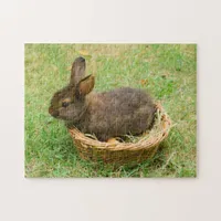 Cute baby rabbit jigsaw puzzle