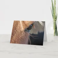 Scotch the Horse Eye Closeup All Occasion Greeting Card