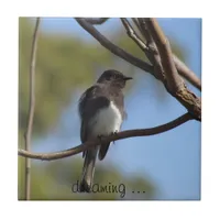 Tile - Flycatcher