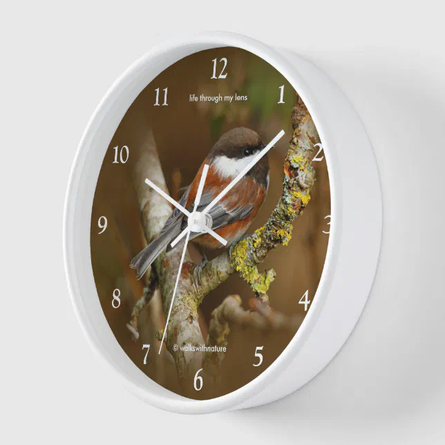 Cute Chestnut-Backed Chickadee Songbird in Tree Clock