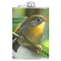 Colorful Leiothrix / Pekin Robin Songbird Hip Flask