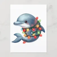 Adorable Christmas Dolphin Postcard