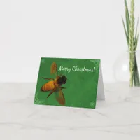 Christmas Bee Holiday Card