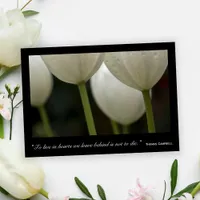 White Tulips Thank You for Your Sympathy