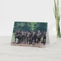 Six Horse Team Card