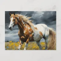 A Gorgeous Pinto Horse in the Meadow Postcard