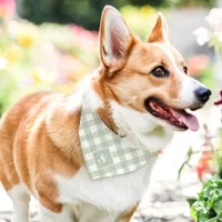 Sage And White Diagonal Buffalo Plaid Monogram Pet Bandana Collar