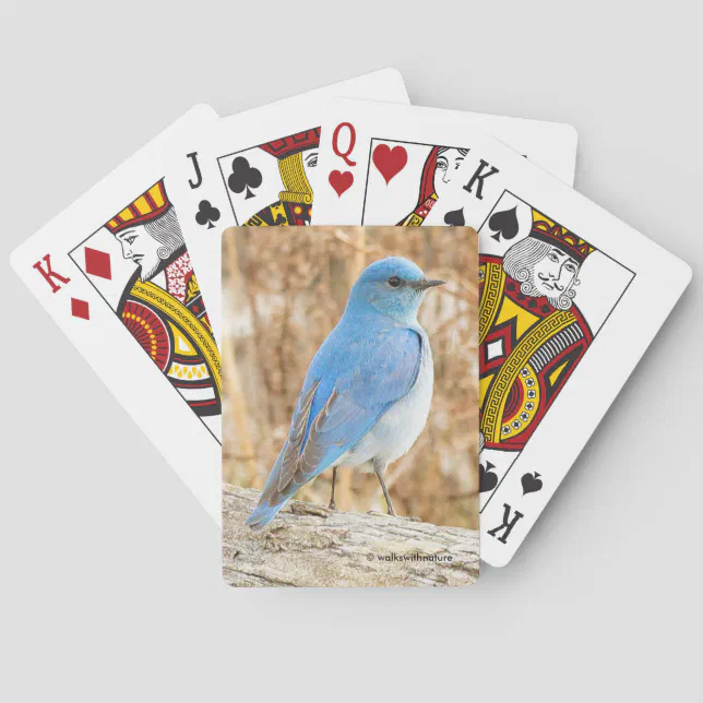 Beautiful Mountain Bluebird at the Beach Poker Cards