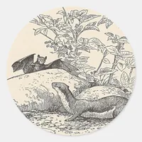 The Bat and The Mink Classic Round Sticker