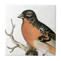 Vintage Robin Tile