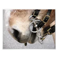 Driving Bit Photo Print