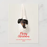 Cute Pet Family Puppy Dog Christmas Photo Holiday Postcard