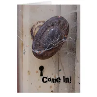 Abandoned Door, Come In! Invitation