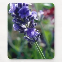 Purple Flower Spike Mouse Pad