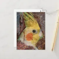 Bird Collage Postcard