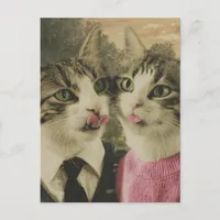 Two Silly Cats Postcard