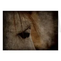 Grey Horse Face Grunge