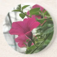 Petunia Coaster