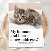 We've Moved New Address Pet Photo Cat Moving Announcement Postcard